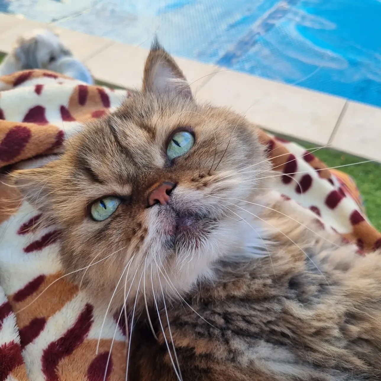 Review image 1 from Amelia Venter